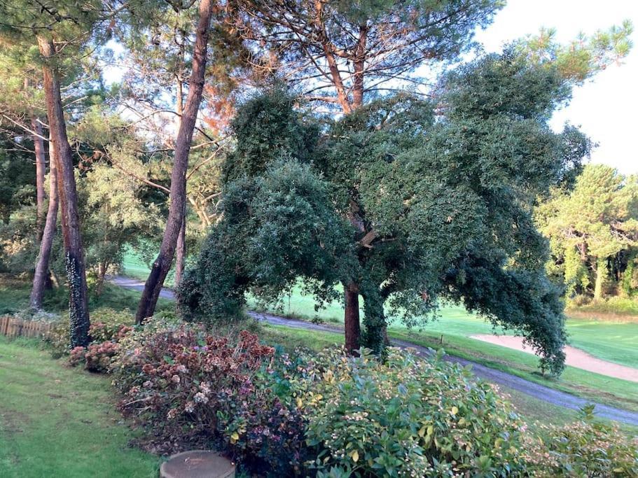 Vue Golf Dans Residence Nature "Sympalappart" 몰리엣젯마 외부 사진